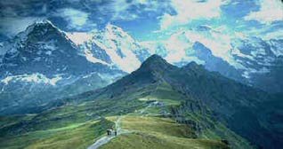 "Life Coaching" logo