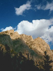 "Life Coaching" logo