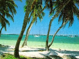 "Life Coaching" logo